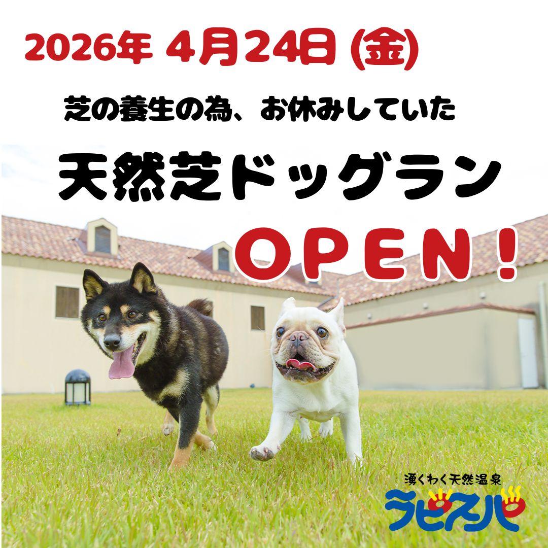 湧くわく天然温泉 ラピスパ